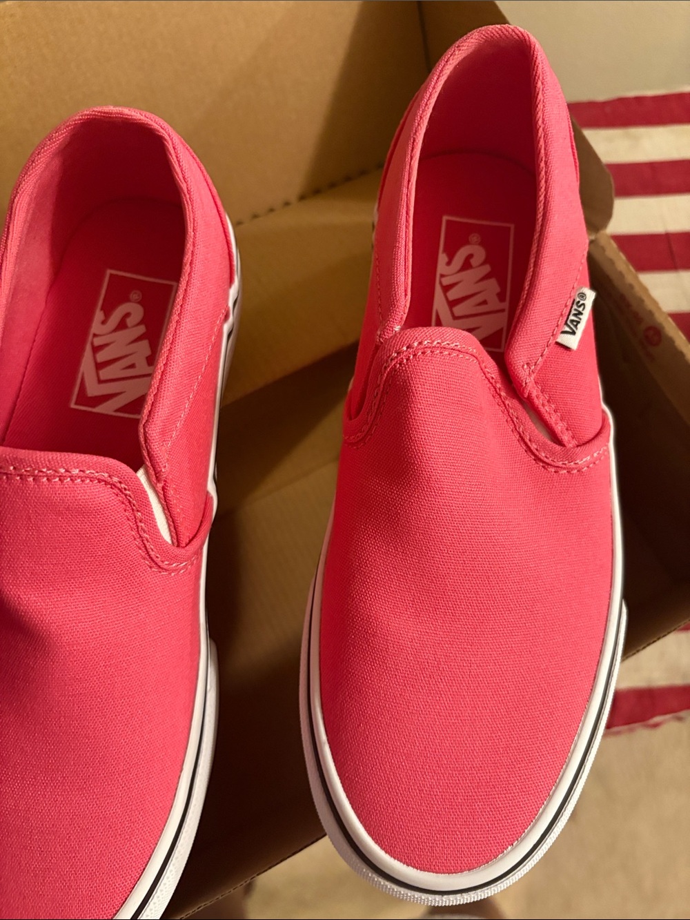 Vans Coral Slip-On Canvas Sneakers